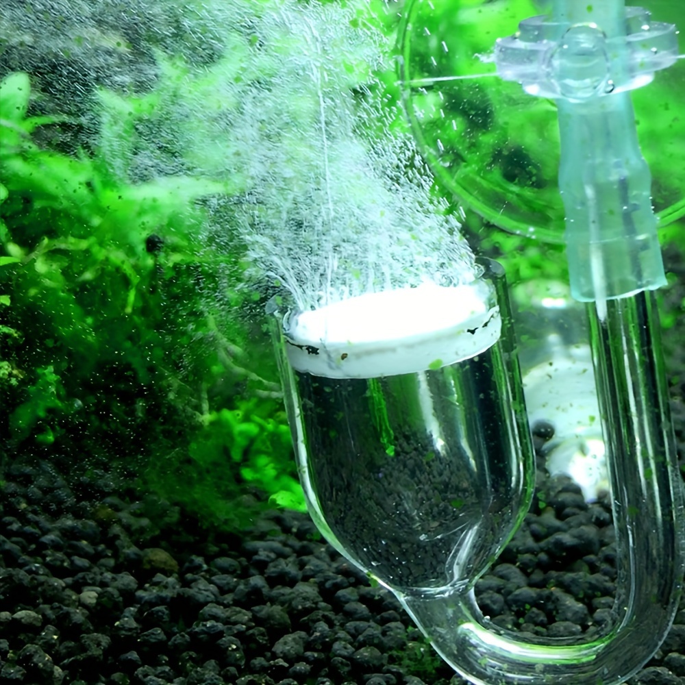 Aquarium Glass CO2 Atomizer Di - Aquarium Liquid Carbon ulasan dan harga