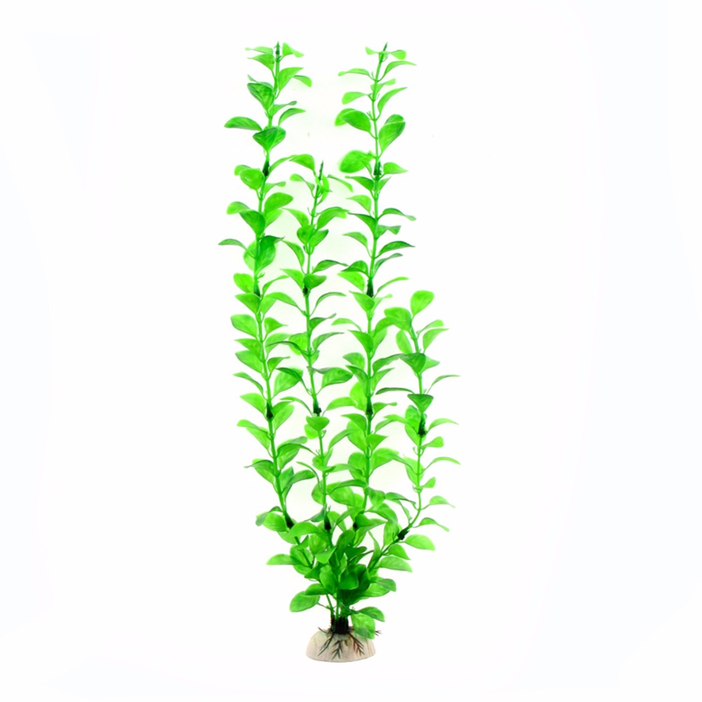 Ornament Aquarium Accessories  - Aquarium Plants Live ulasan dan harga