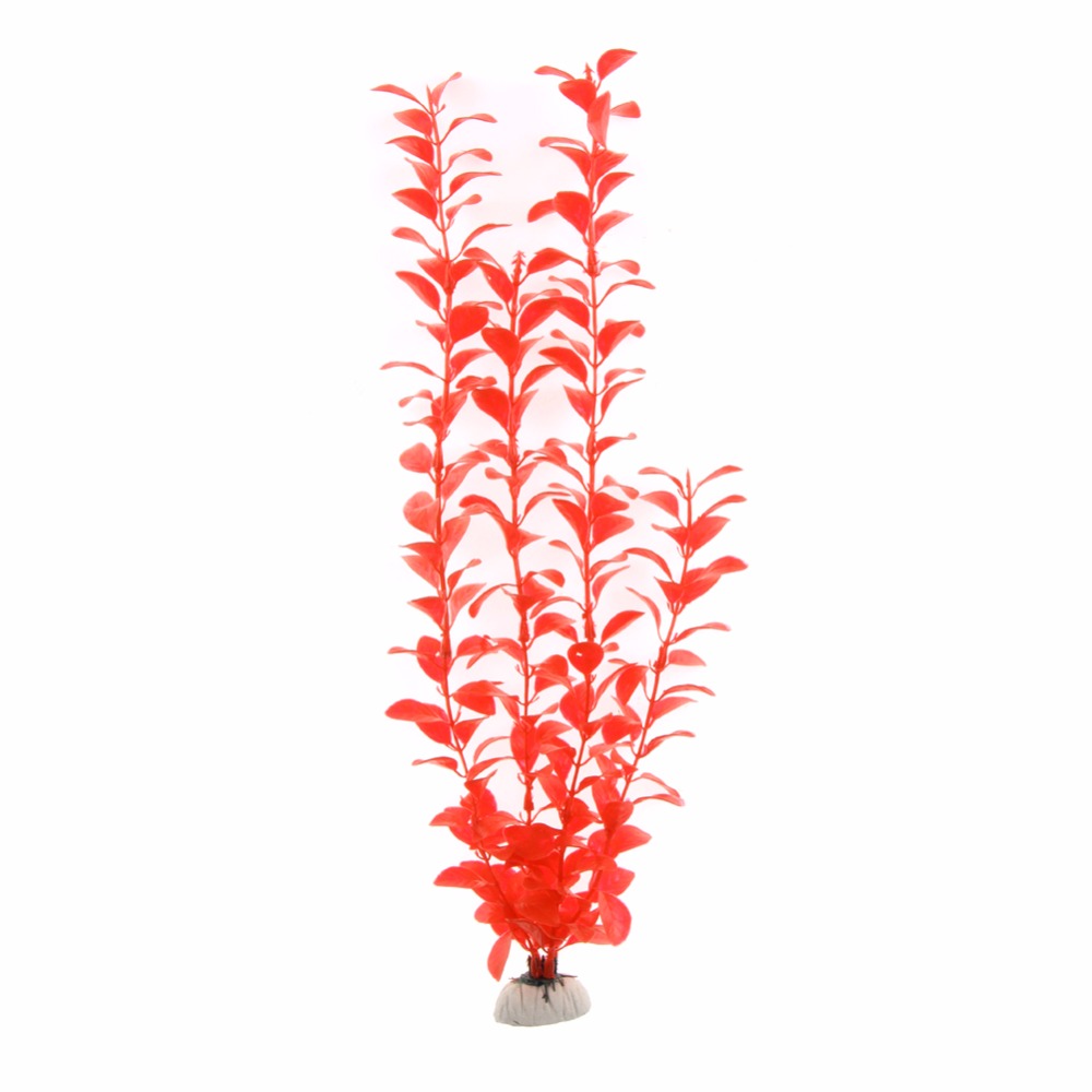 Ornament Aquarium Accessories  - Aquarium Plants Live ulasan dan harga