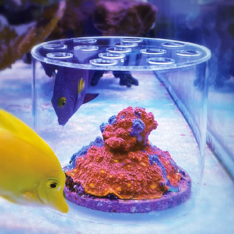 Vastocean Aquarium Arcylic Cor - Aquarium Fertilizer ulasan dan harga