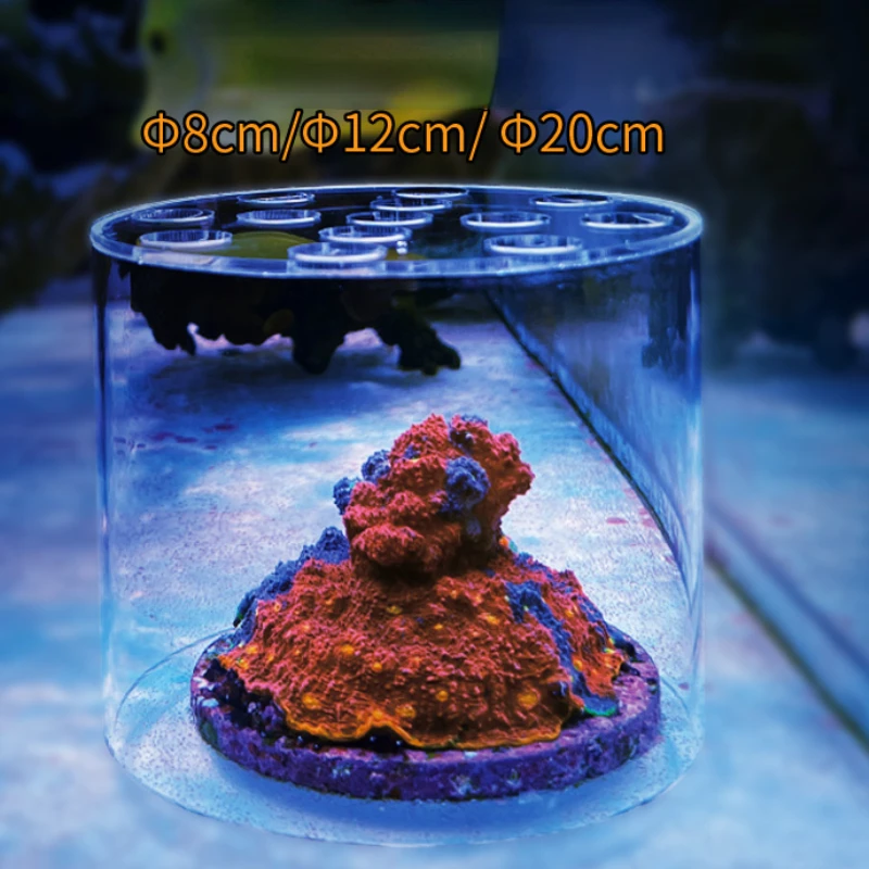 Vastocean Aquarium Arcylic Cor - Aquarium Fertilizer ulasan dan harga