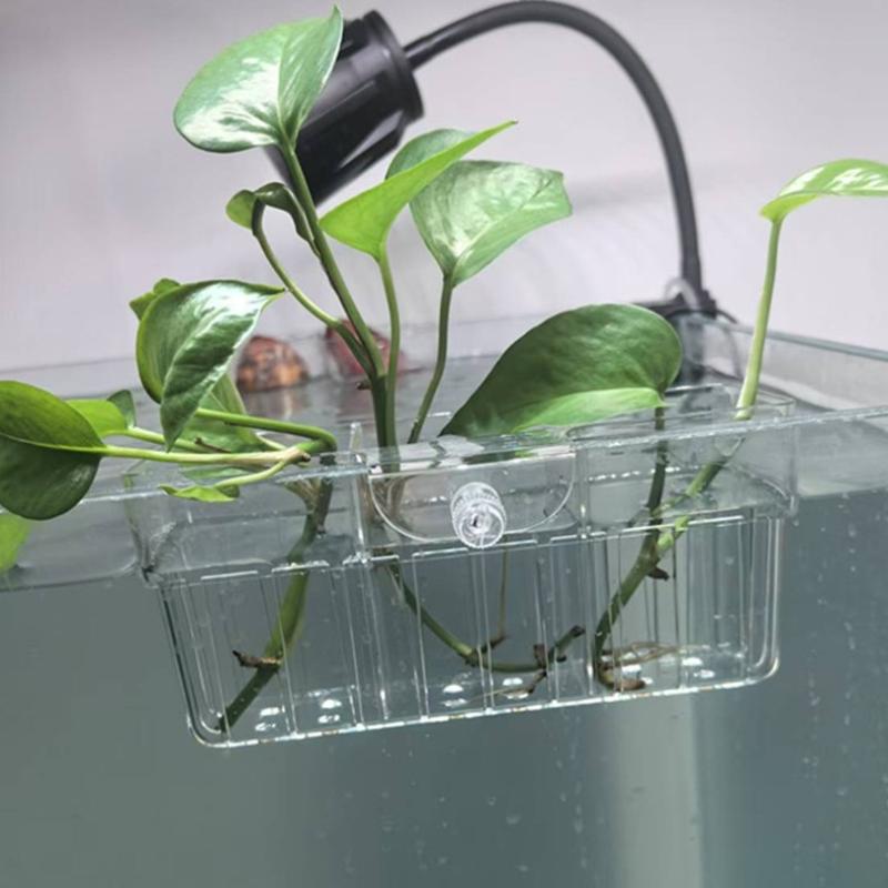 Hydroponic Plant Basket Food G - Planted Tank ulasan dan harga