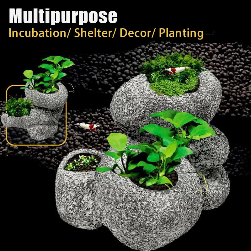 Fish Shrimp Incubation Shelter - Plant Aquarium Pot ulasan dan harga