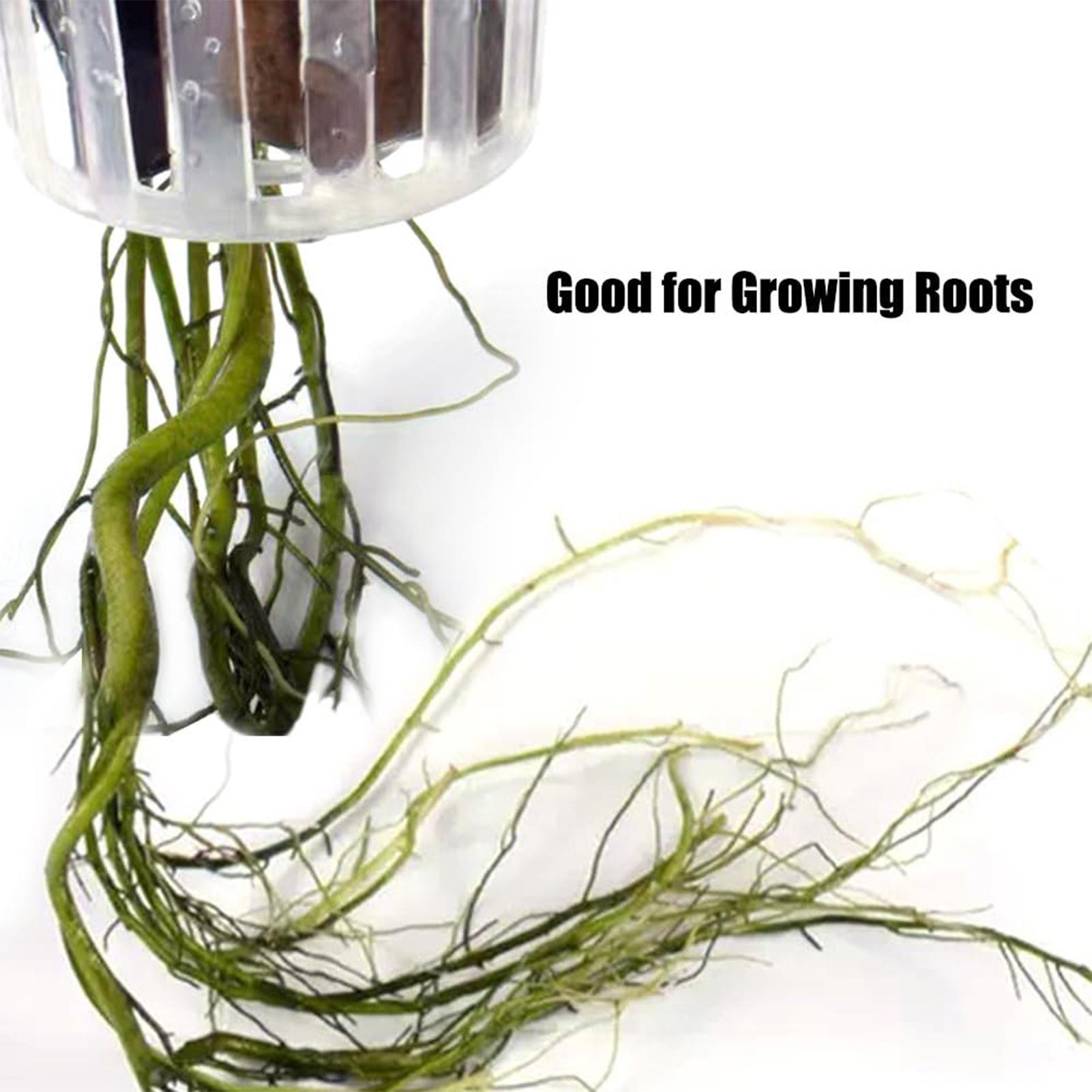 2PCS Hangable Aquatic Plant Ho - Plant Aquarium Pot ulasan dan harga