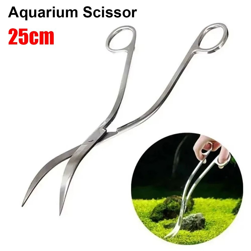 1Pcs Stainless Steel Aquarium  - Planted Aquarium Cleaning ulasan dan harga