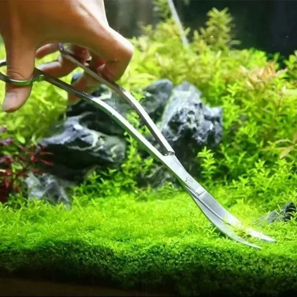 1Pcs Stainless Steel Aquarium  - Planted Aquarium Cleaning ulasan dan harga