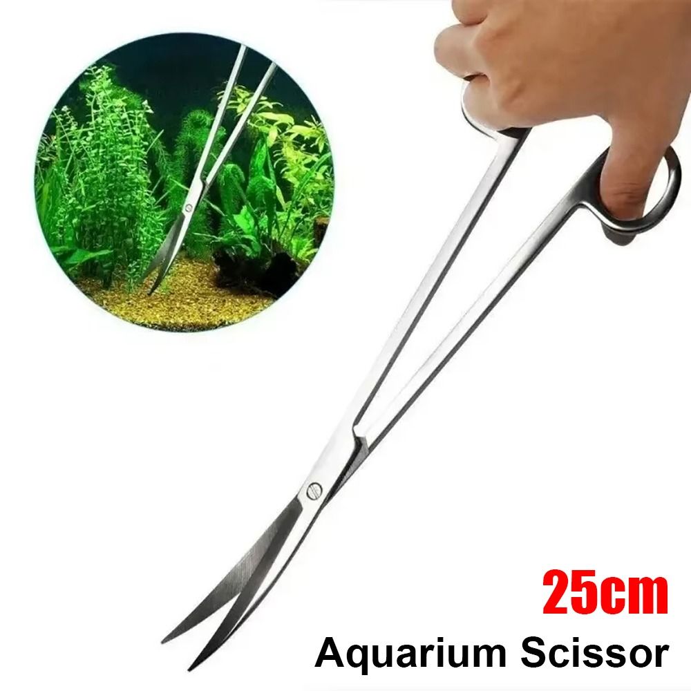 1Pcs Stainless Steel Aquarium  - Planted Aquarium Cleaning ulasan dan harga