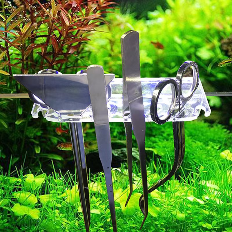 Professional Aquarium Maintena - Aquarium Plants Live ulasan dan harga