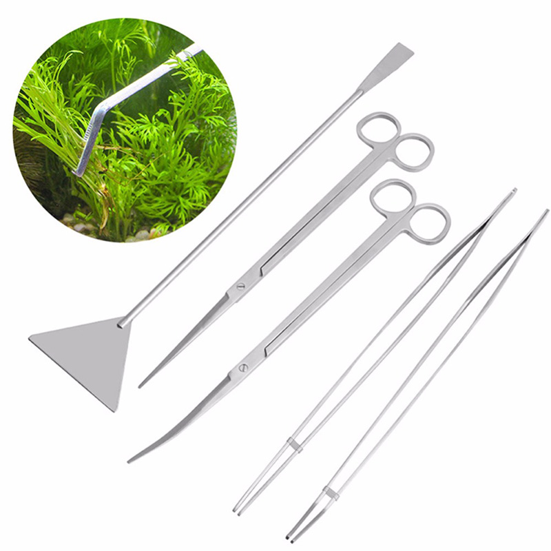 Professional Aquarium Maintena - Aquarium Plants Live ulasan dan harga