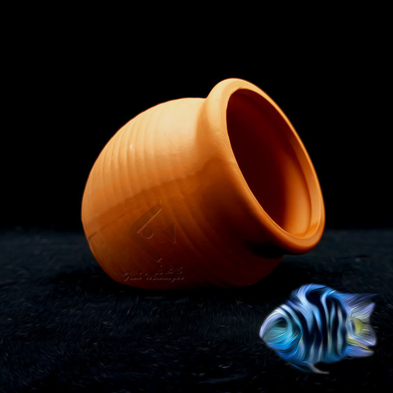 Aquarium Mini Ceramic Tank Fis - Aquarium Driftwood ulasan dan harga