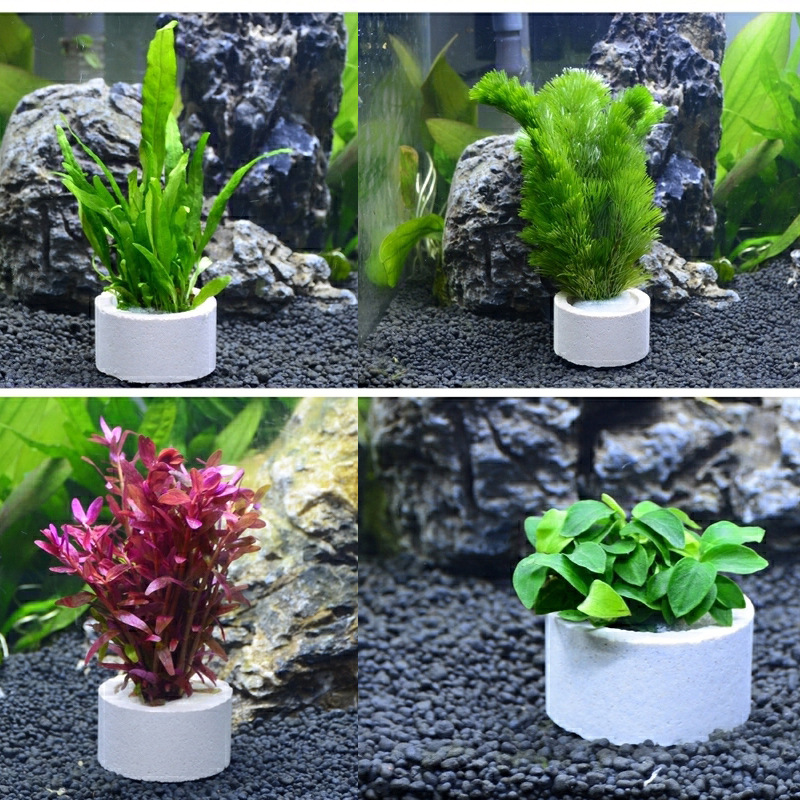 Aquarium Decoration Ceramic Ri - Plant Aquarium Pot ulasan dan harga
