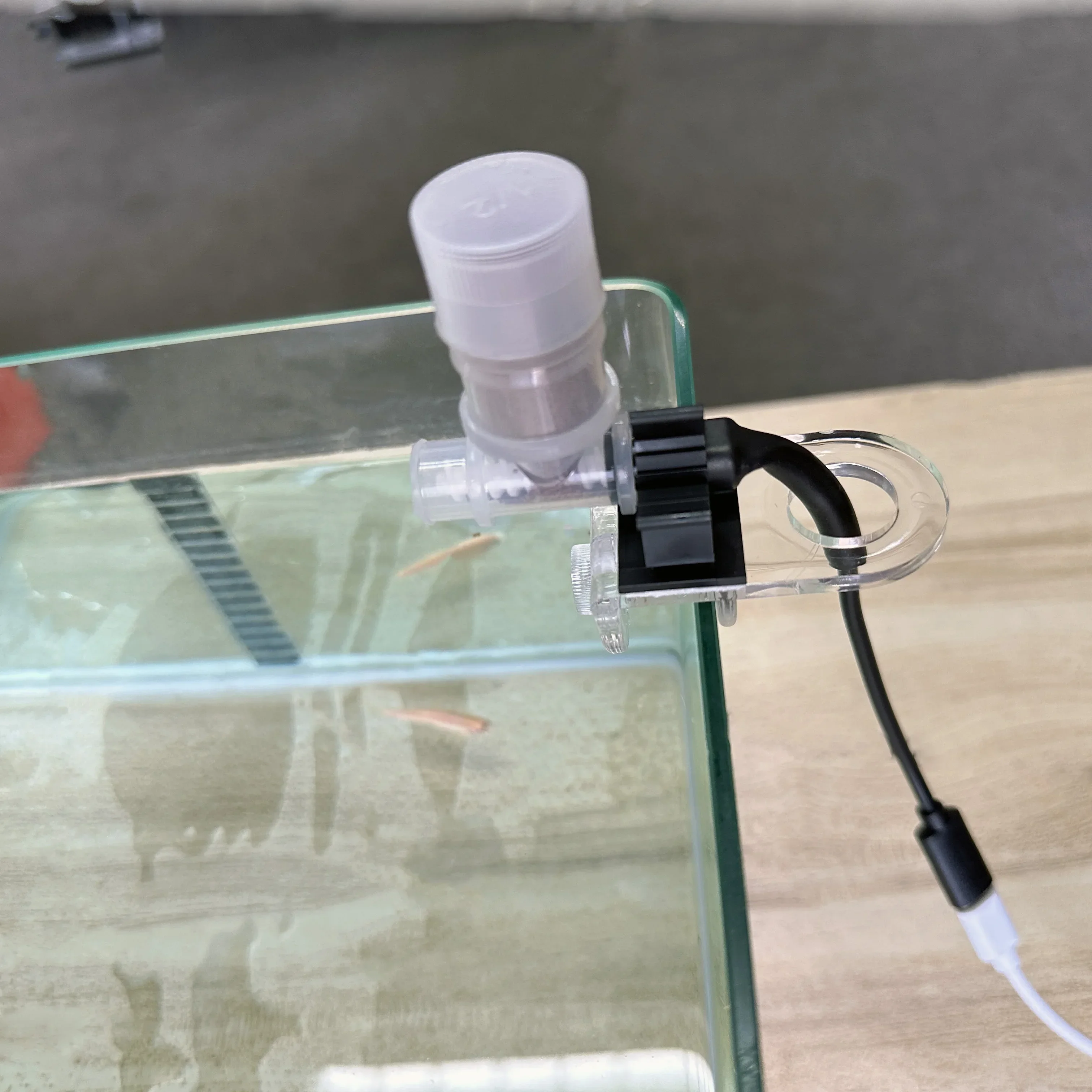 Best Automatic Fish Feeder - W - Aquarium Fertilizer ulasan dan harga