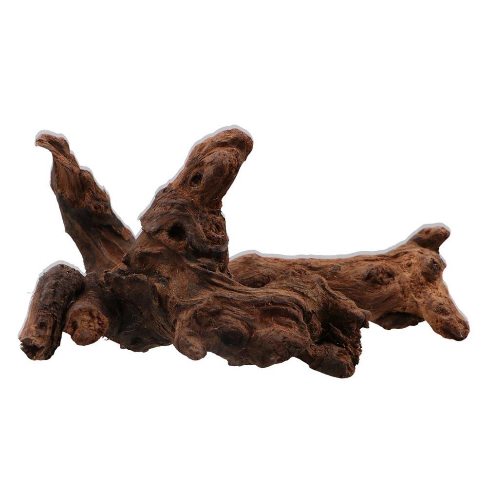 Creative Irregular Shape Coral - Aquarium Driftwood ulasan dan harga