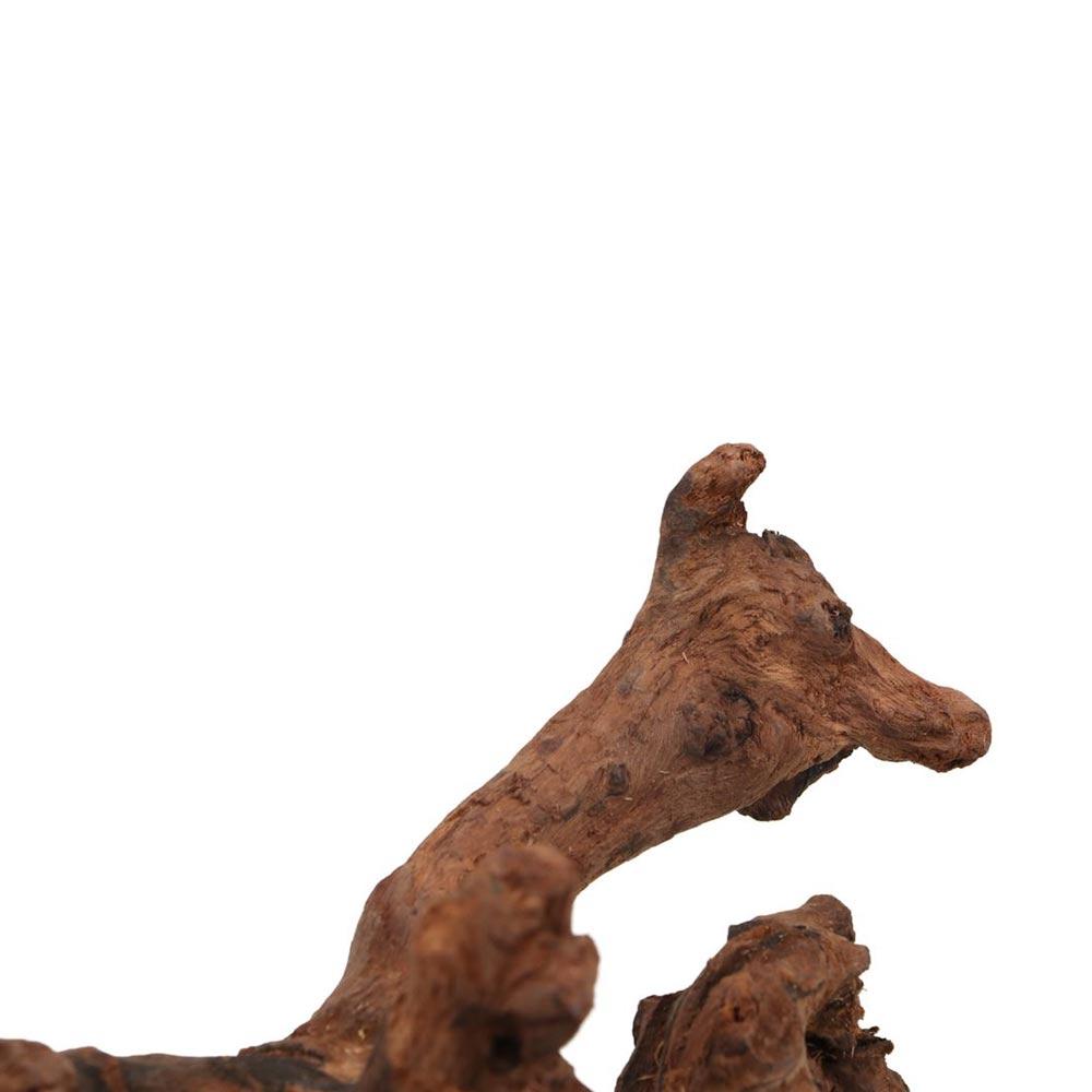 Creative Irregular Shape Coral - Aquarium Driftwood ulasan dan harga