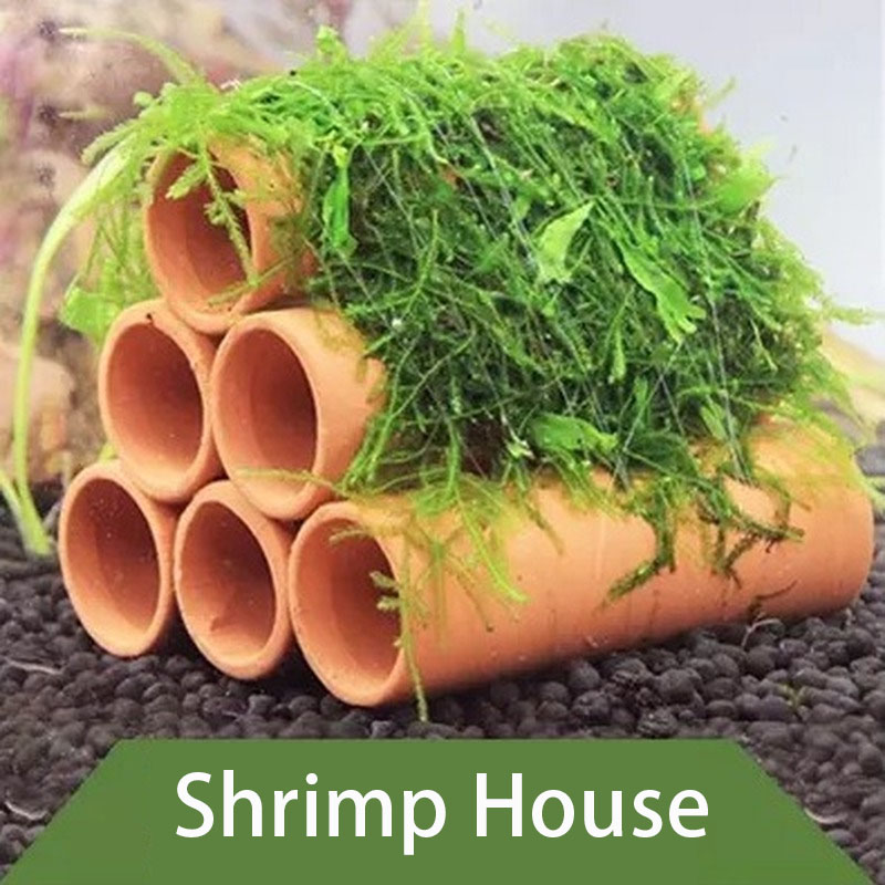 Clay Aquarium Decoration Fish  - Aquarium Plants Live ulasan dan harga