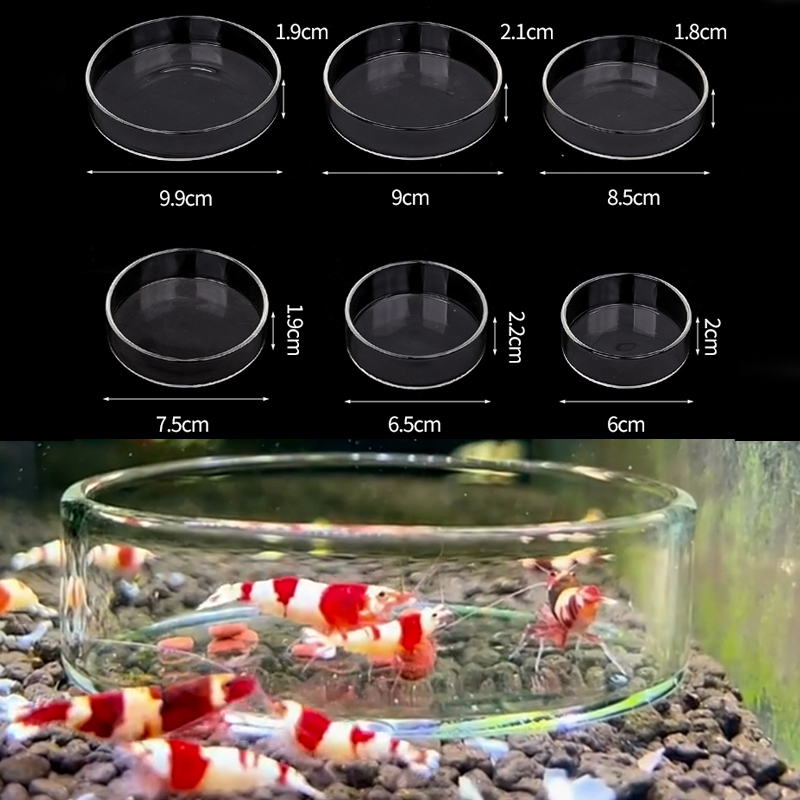 Shrimp Feeding Dish High Trans - Aquarium Fertilizer ulasan dan harga