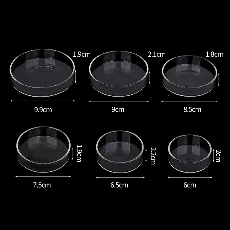 Shrimp Feeding Dish High Trans - Aquarium Fertilizer ulasan dan harga