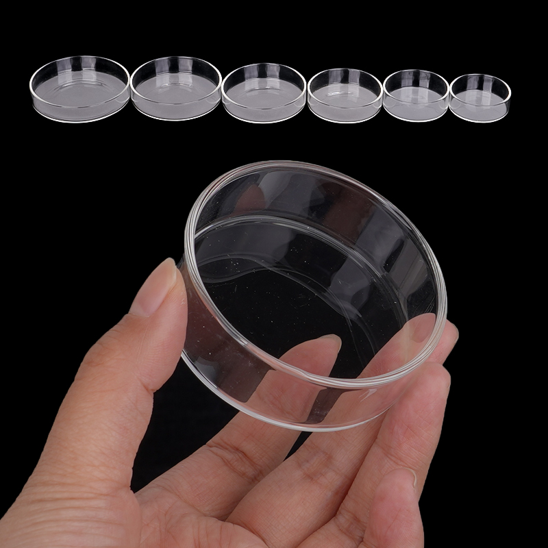 Shrimp Feeding Dish High Trans - Aquarium Fertilizer ulasan dan harga