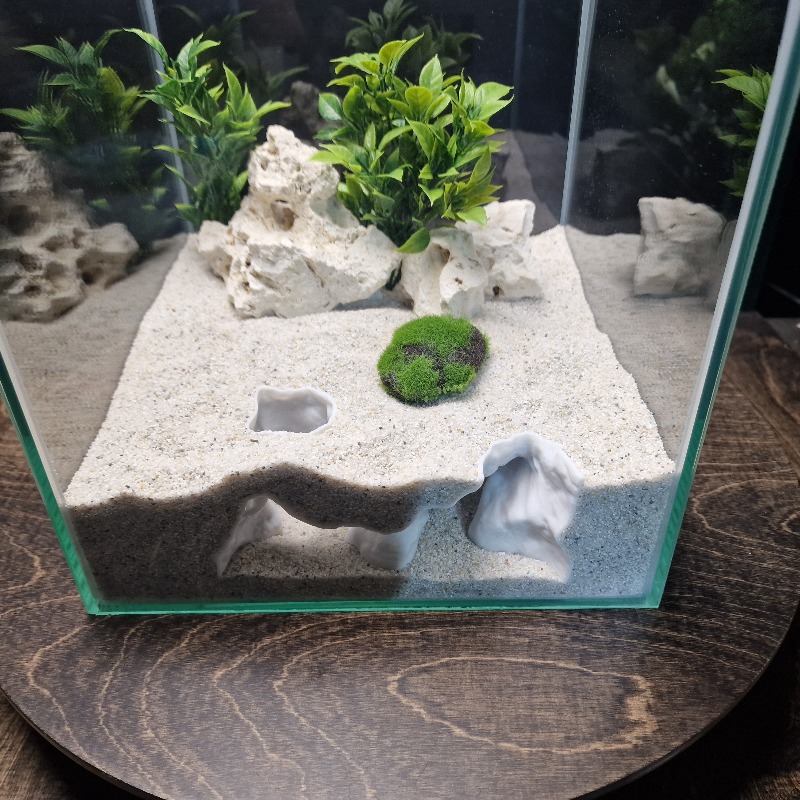 Premium 3D Print ShoreSand Aqu - Aquarium Driftwood ulasan dan harga