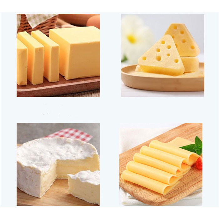 Small Automatic Cheese Process - Planted Tank ulasan dan harga