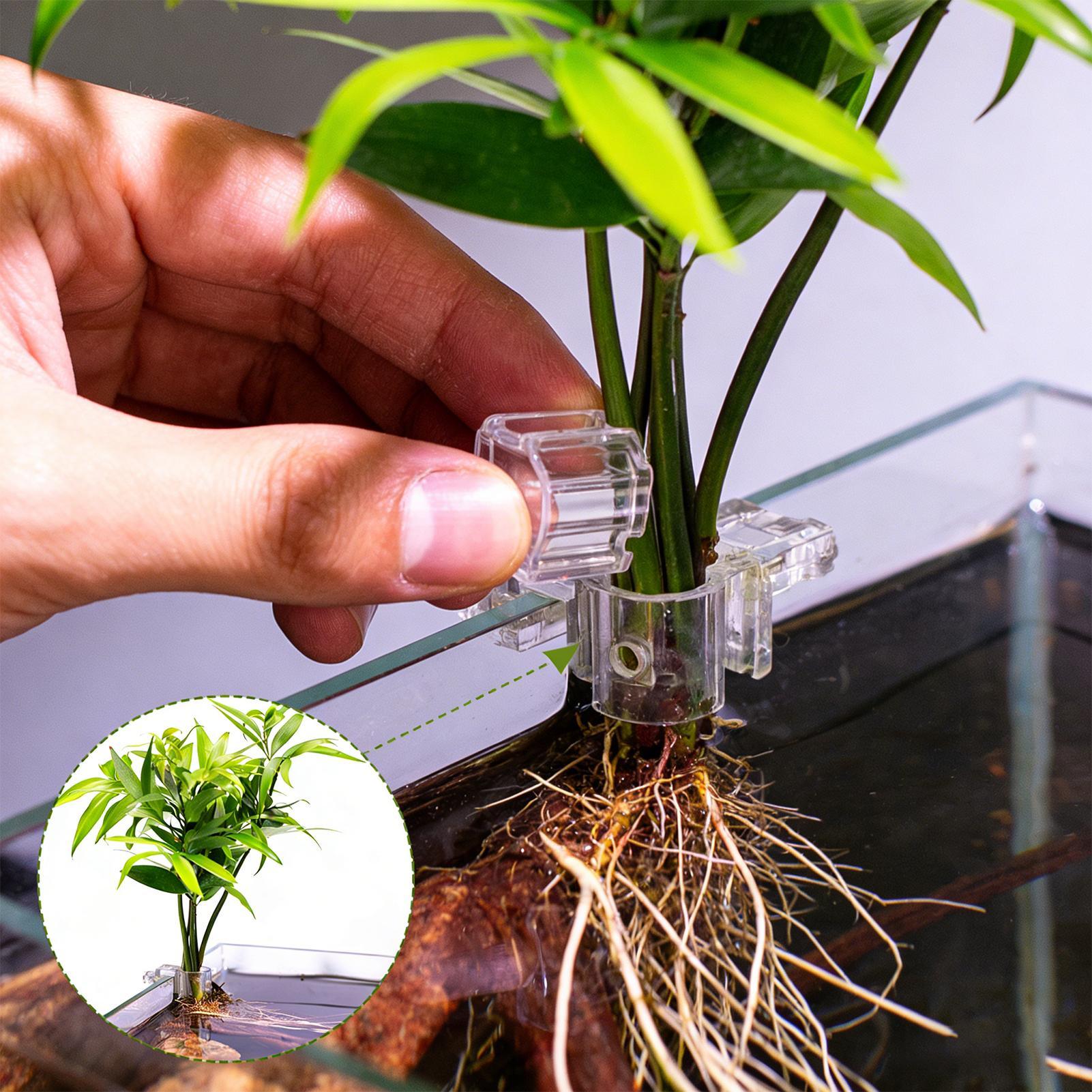 6pcs Aquarium Plant Holders Cl - Aquarium Plants Live ulasan dan harga
