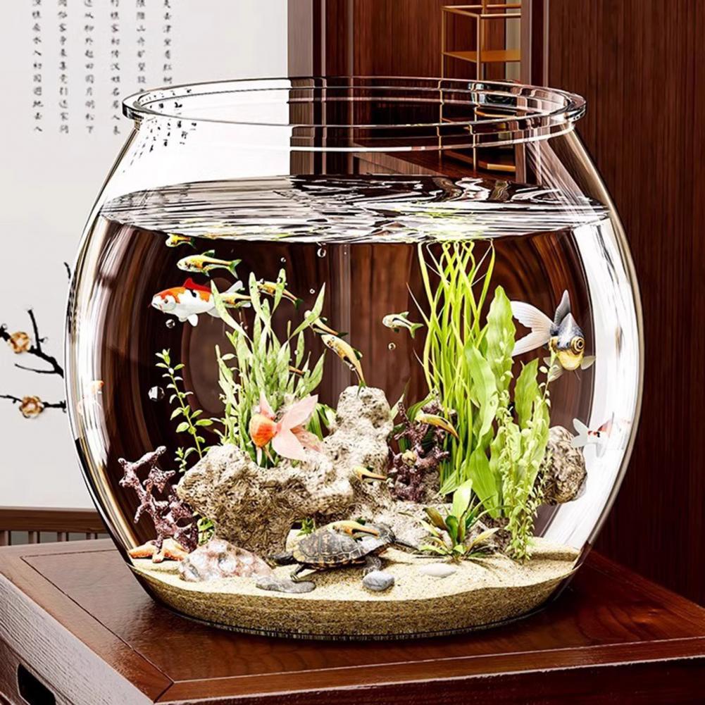 Clear Plastic round Fish Bowl  - Plant Aquarium Pot ulasan dan harga