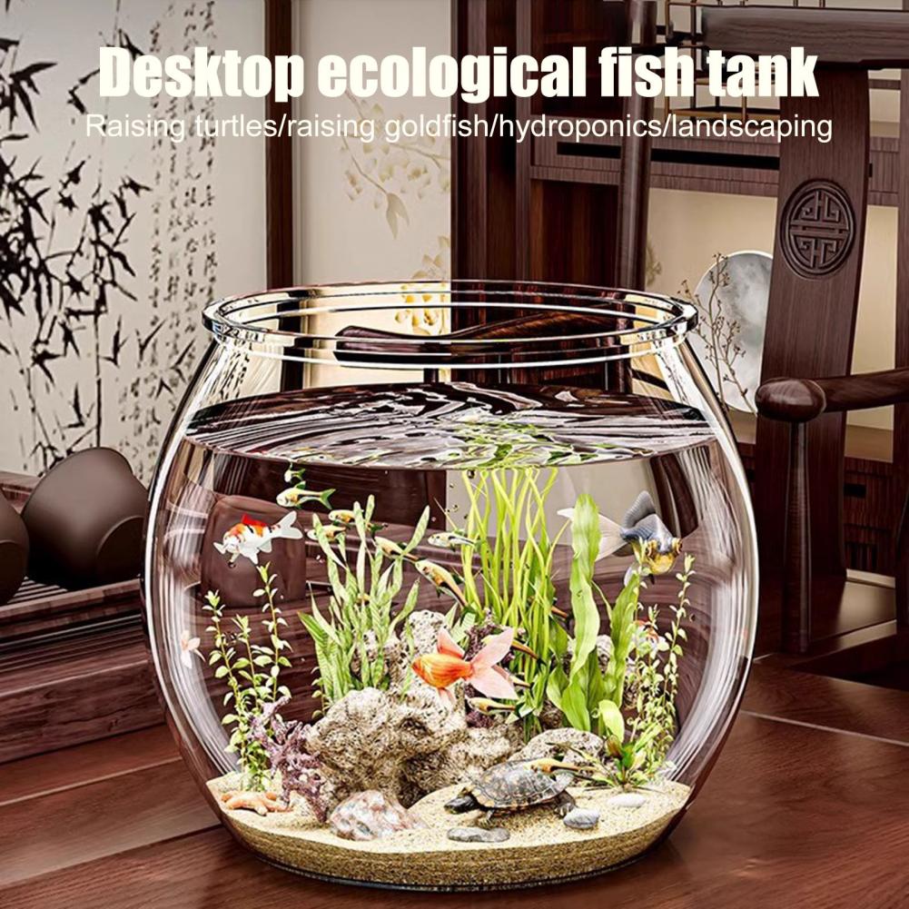 Clear Plastic round Fish Bowl  - Plant Aquarium Pot ulasan dan harga