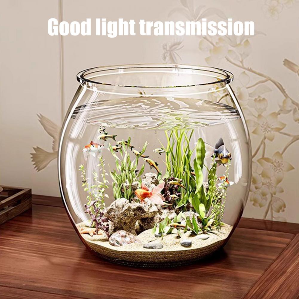 Clear Plastic round Fish Bowl  - Plant Aquarium Pot ulasan dan harga