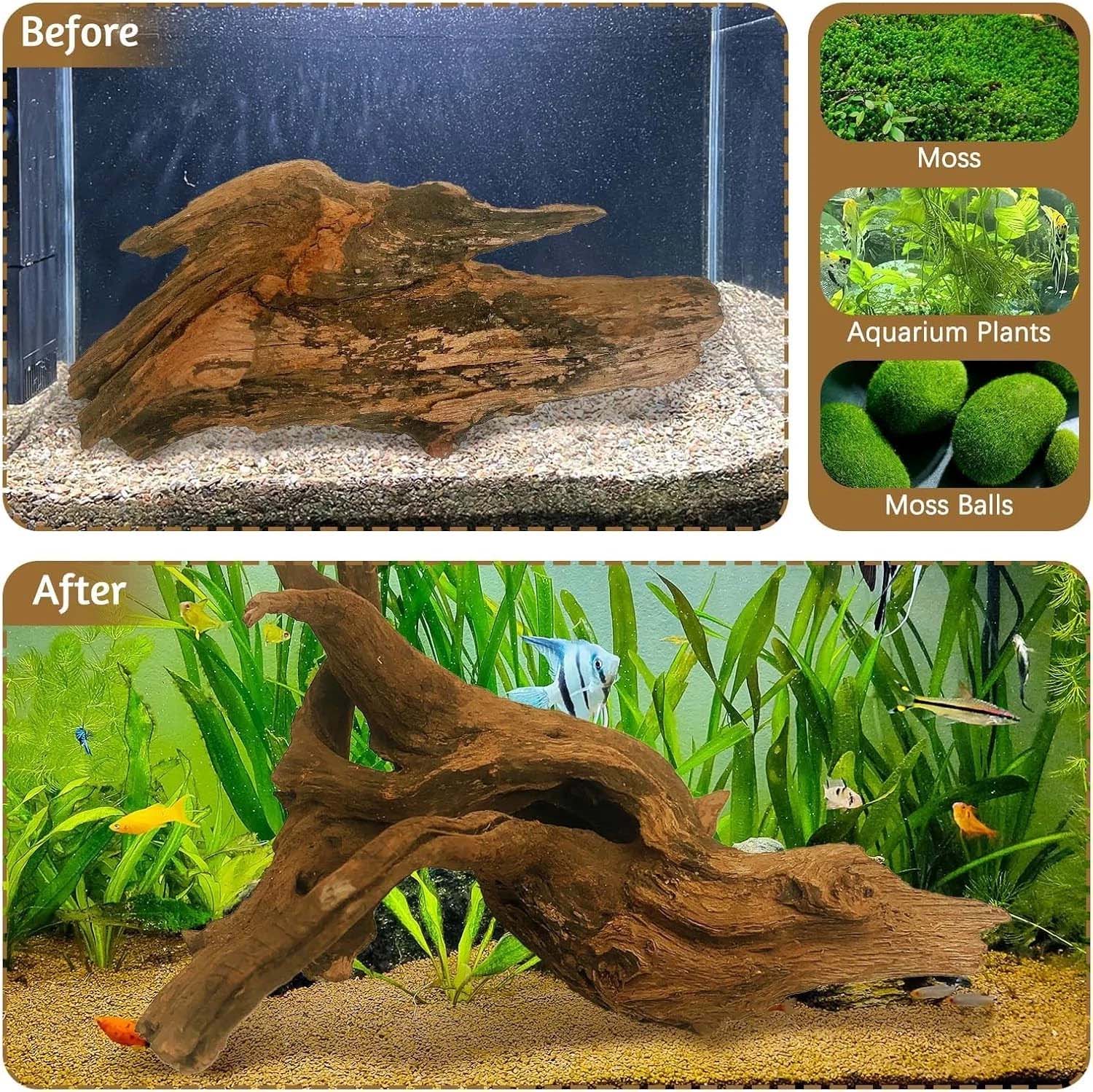 15-20CM 1Pc Natural Driftwood  - Aquarium Driftwood ulasan dan harga