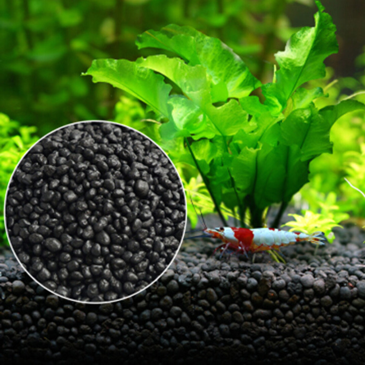 Aquarium Plant Seeds Soil Fish - Aquarium Plant Substrate ulasan dan harga