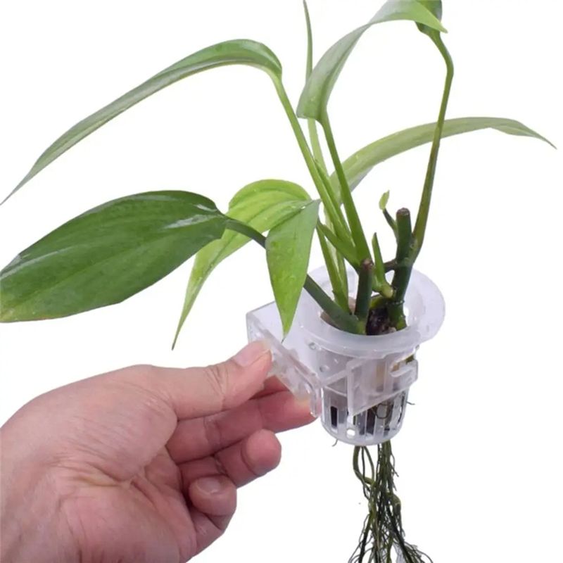 A7THK-2Pcs Transparent Hanging - Aquarium Plant Holder ulasan dan harga
