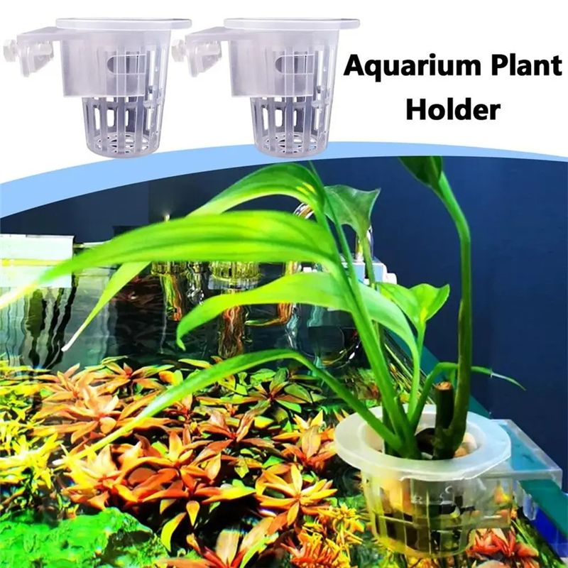 A7THK-2Pcs Transparent Hanging - Aquarium Plant Holder ulasan dan harga