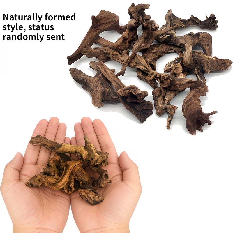 5-10CM Natural Sinkable Driftw - Aquarium Driftwood ulasan dan harga