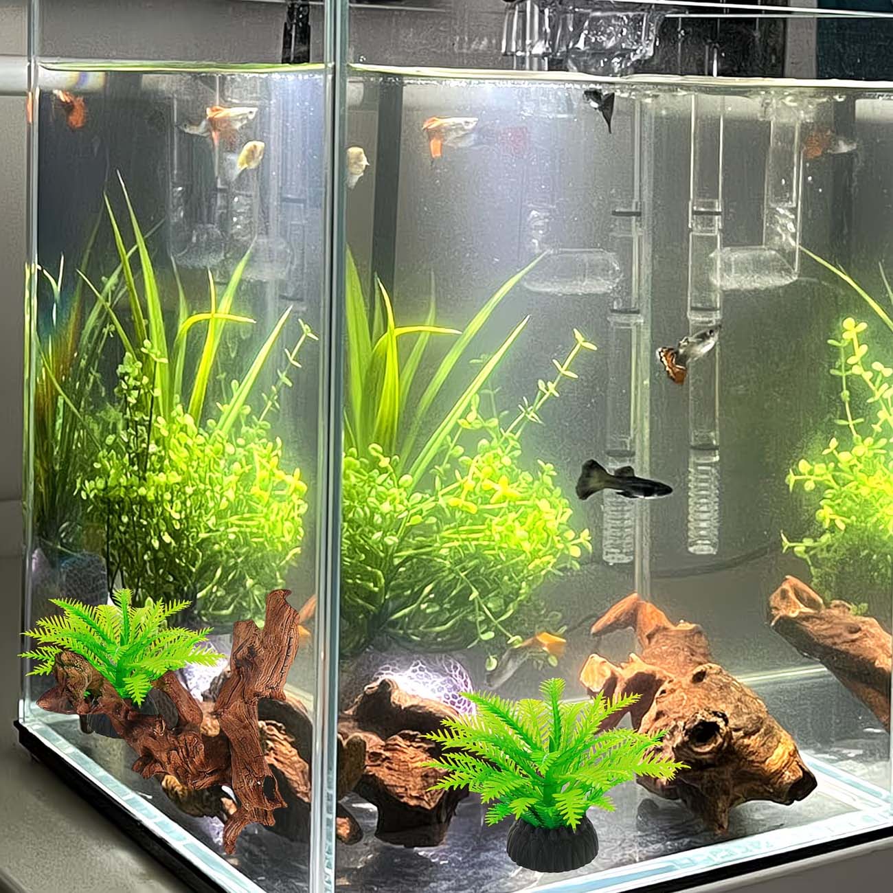 5-10CM Natural Sinkable Driftw - Aquarium Driftwood ulasan dan harga