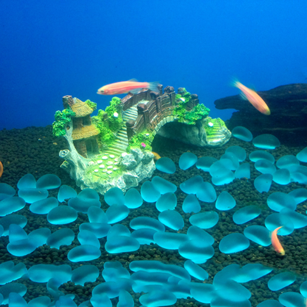Aquarium Accessories Arbor Tre - Aquarium Driftwood ulasan dan harga