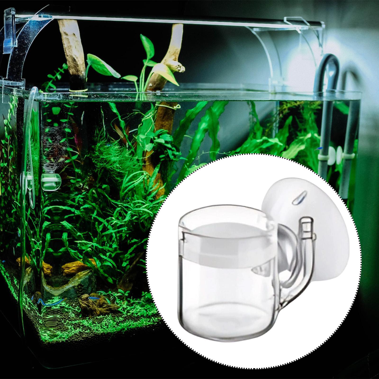 CO2 Diffuser Flat Bottom Silen - Planted Aquarium Cleaning ulasan dan harga