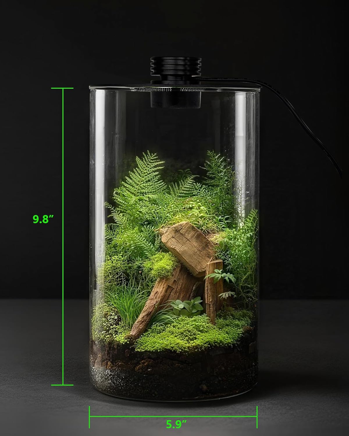 Indoor Glass Terrarium with Gr - Planted Tank ulasan dan harga