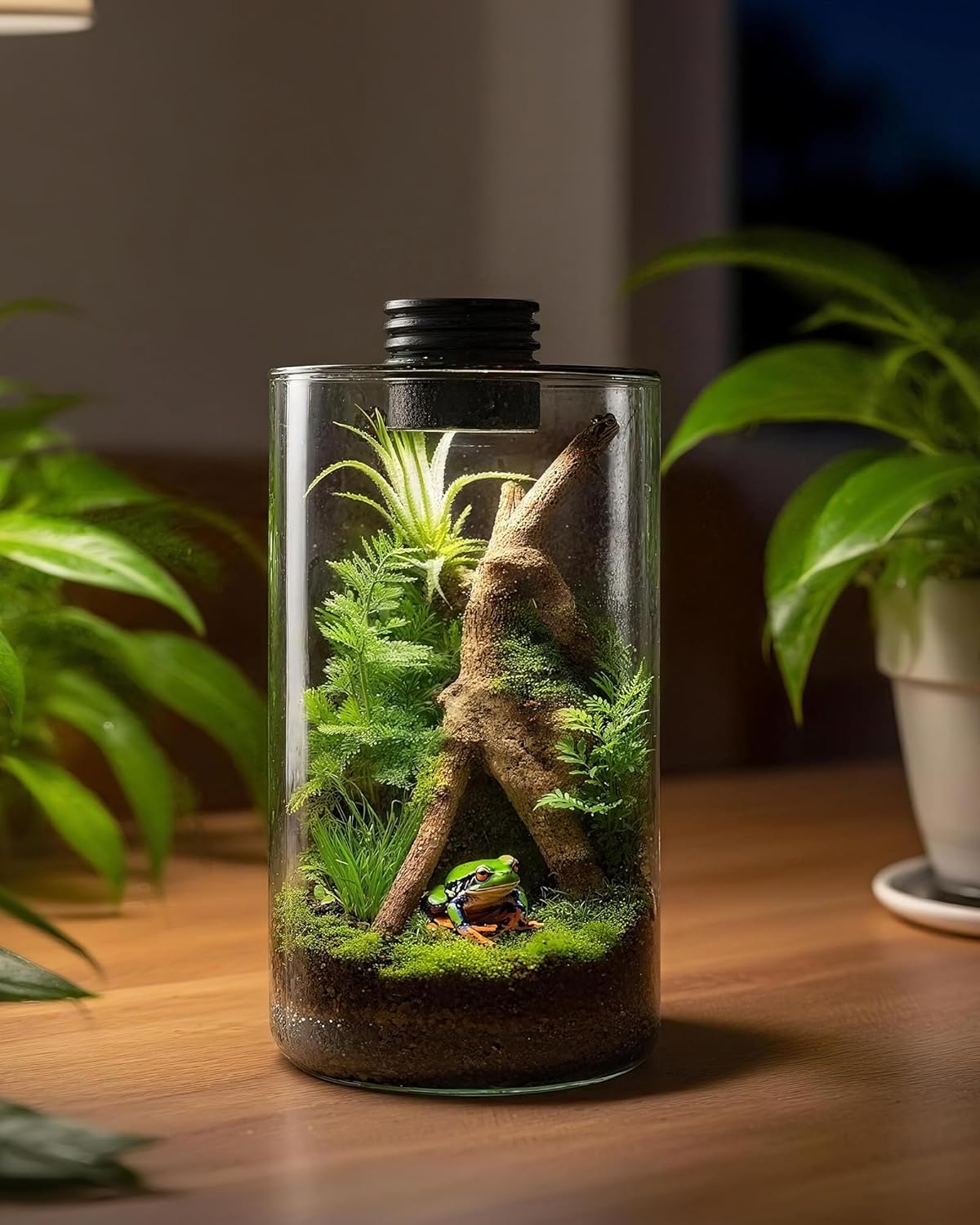 Indoor Glass Terrarium with Gr - Planted Tank ulasan dan harga