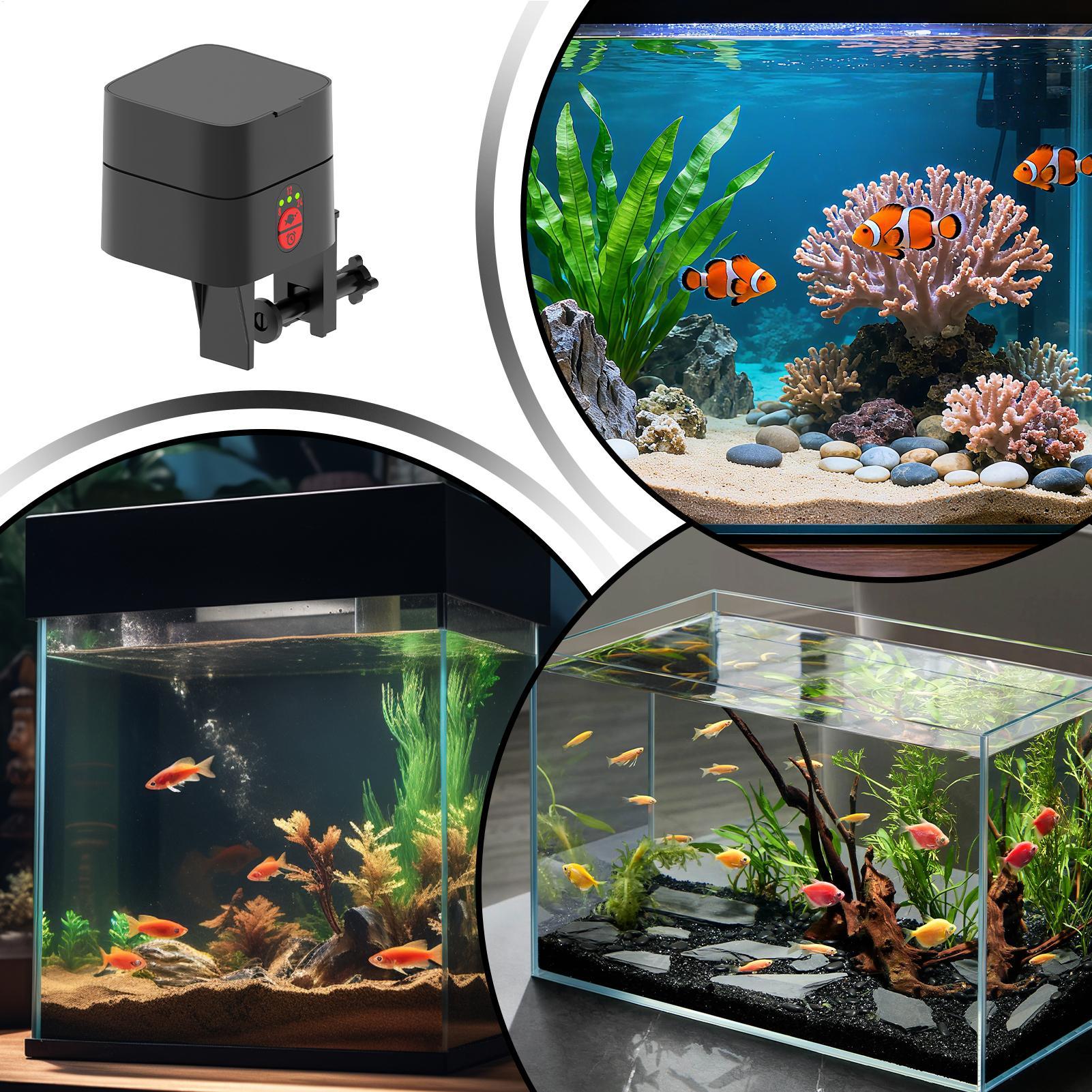 Auto Fish Feeder For Aquarium  - Aquarium Fertilizer ulasan dan harga