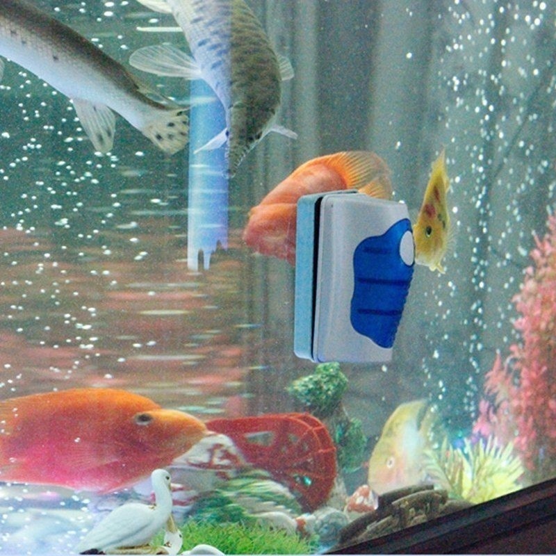 Fish Tank Glass Scraper Cleane - Planted Aquarium Cleaning ulasan dan harga