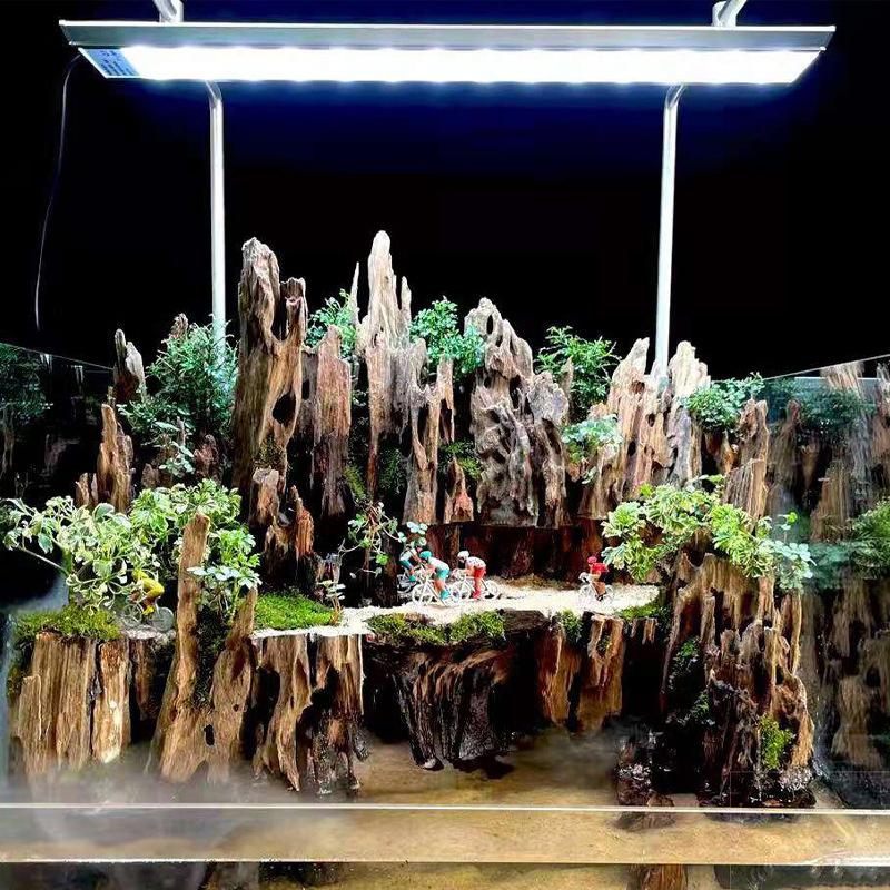 △ Shrimp Wood Aquarium Decor,  - Aquarium Driftwood ulasan dan harga