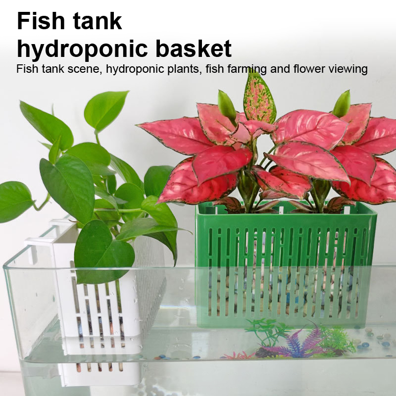 【F】Fish Tank Hanging Planter A - Aquarium Plant Holder ulasan dan harga