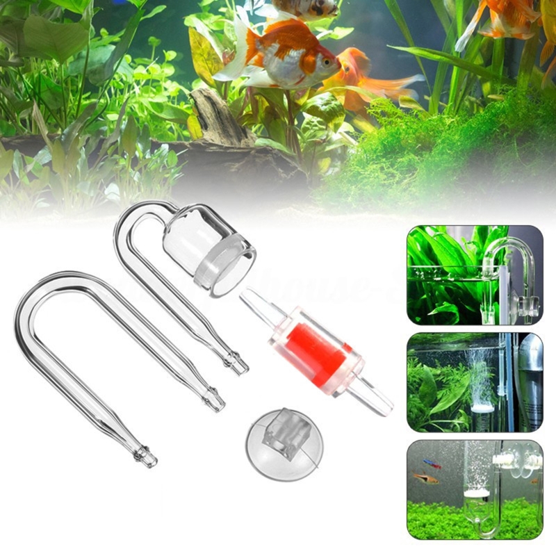 4pcs Set DIY CO2 Diffuser For  - Aquarium Plants Live ulasan dan harga