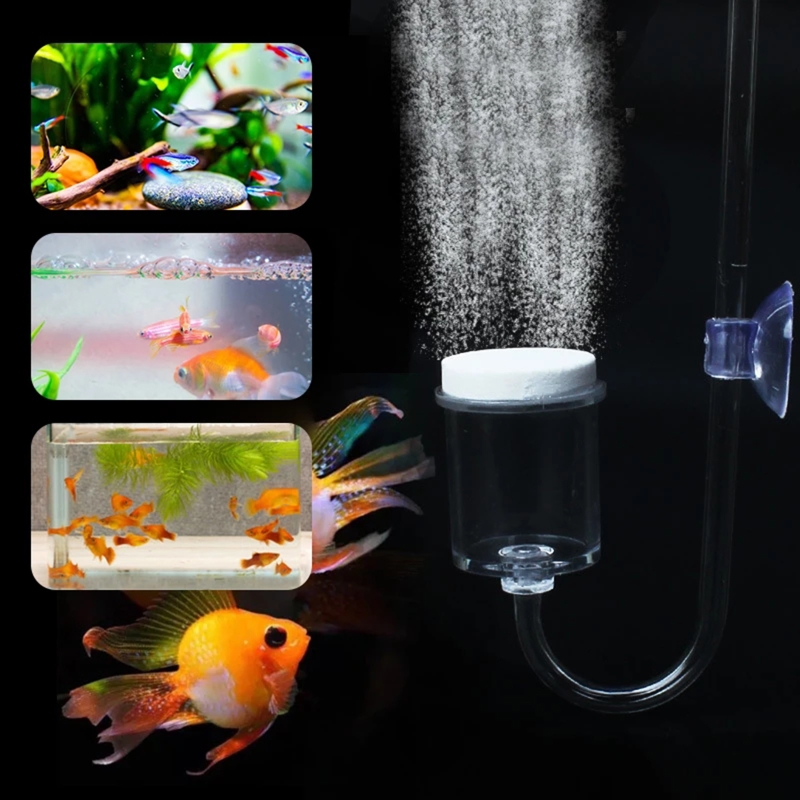 4pcs Set DIY CO2 Diffuser For  - Aquarium Plants Live ulasan dan harga
