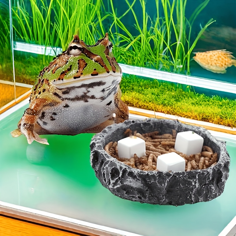 6 Pcs Fish Tank Calcium Block  - Aquarium Plants Live ulasan dan harga