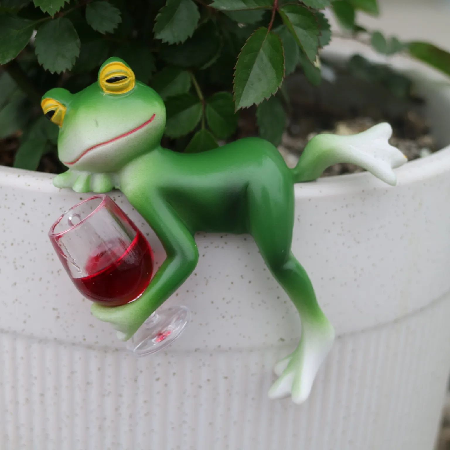 A delightful green frog and wi - Plant Aquarium Pot ulasan dan harga