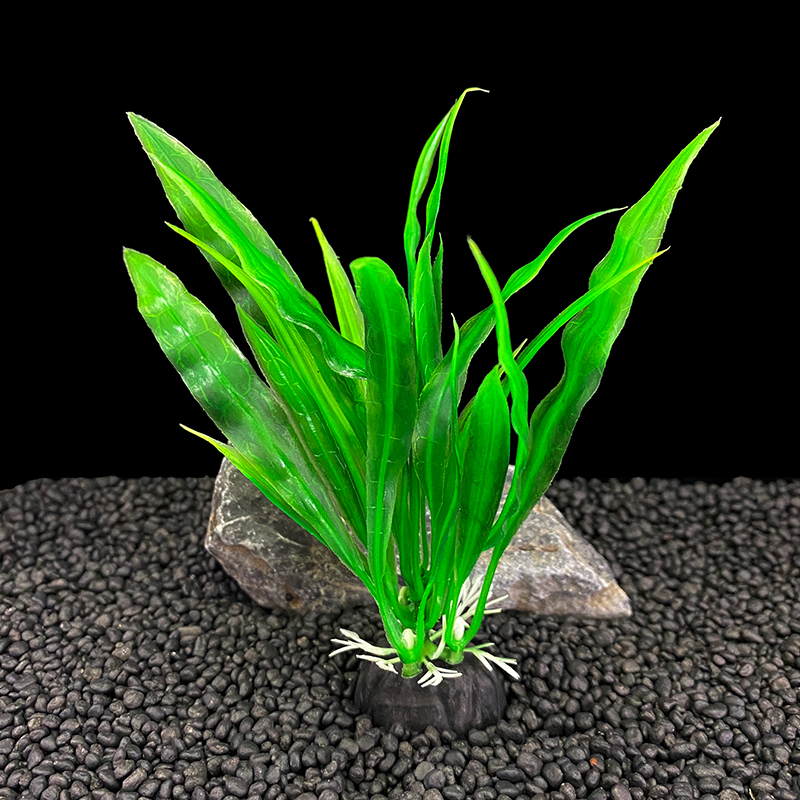 6pcs Packs Aquarium Plants, Fi - Aquarium Plants Live ulasan dan harga