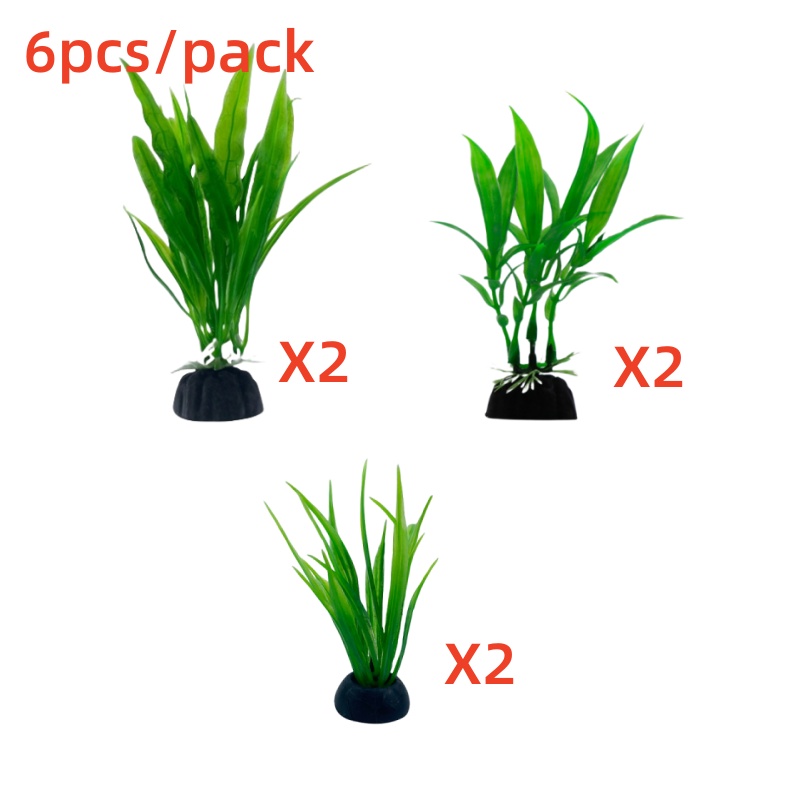 6pcs Packs Aquarium Plants, Fi - Aquarium Plants Live ulasan dan harga